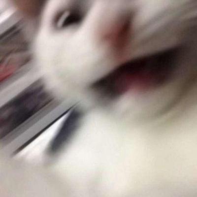 [?]