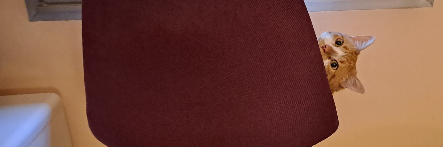 Header Image