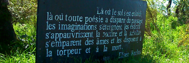 Bannière de ce canal