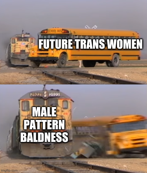 A school bus representing future trans women is being hit bit a train representing male pattern baldness while traversing train tracks.