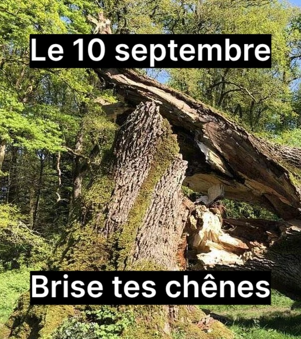 Montage moche d'un chêne brisé en deux avec marqué : le 10 septembre : brise tes chênes
