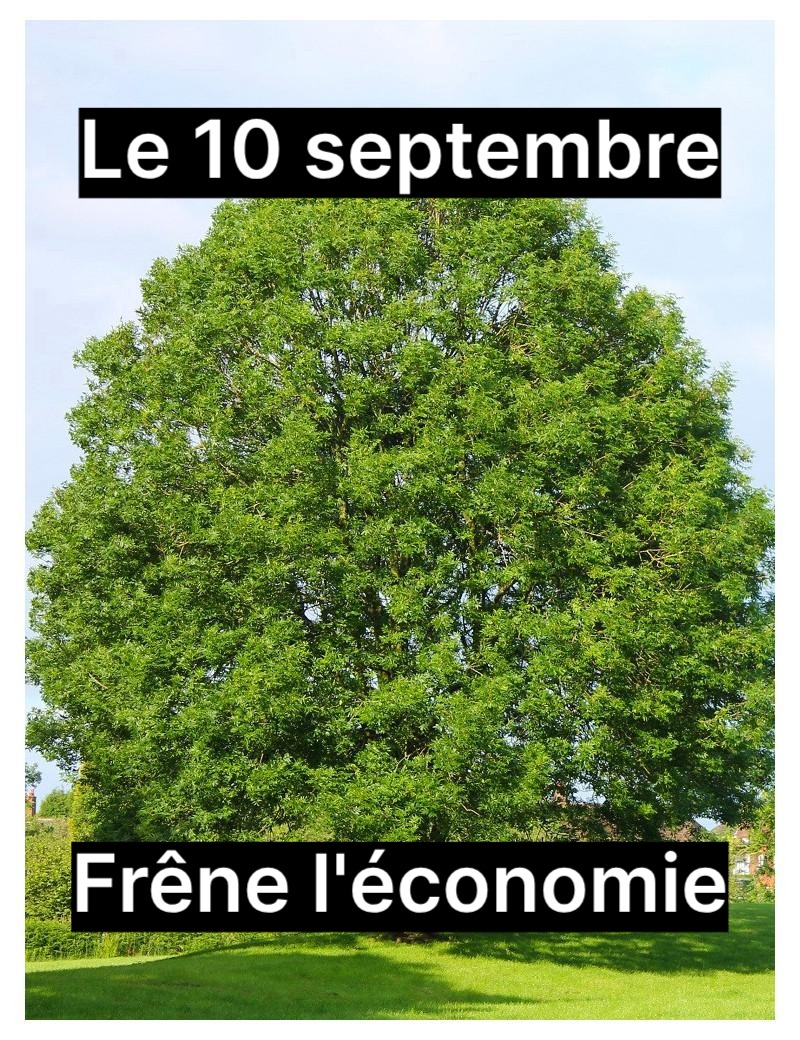 Montage nul d'un frêne avec marqué : 10 septembre, frêne l'économie