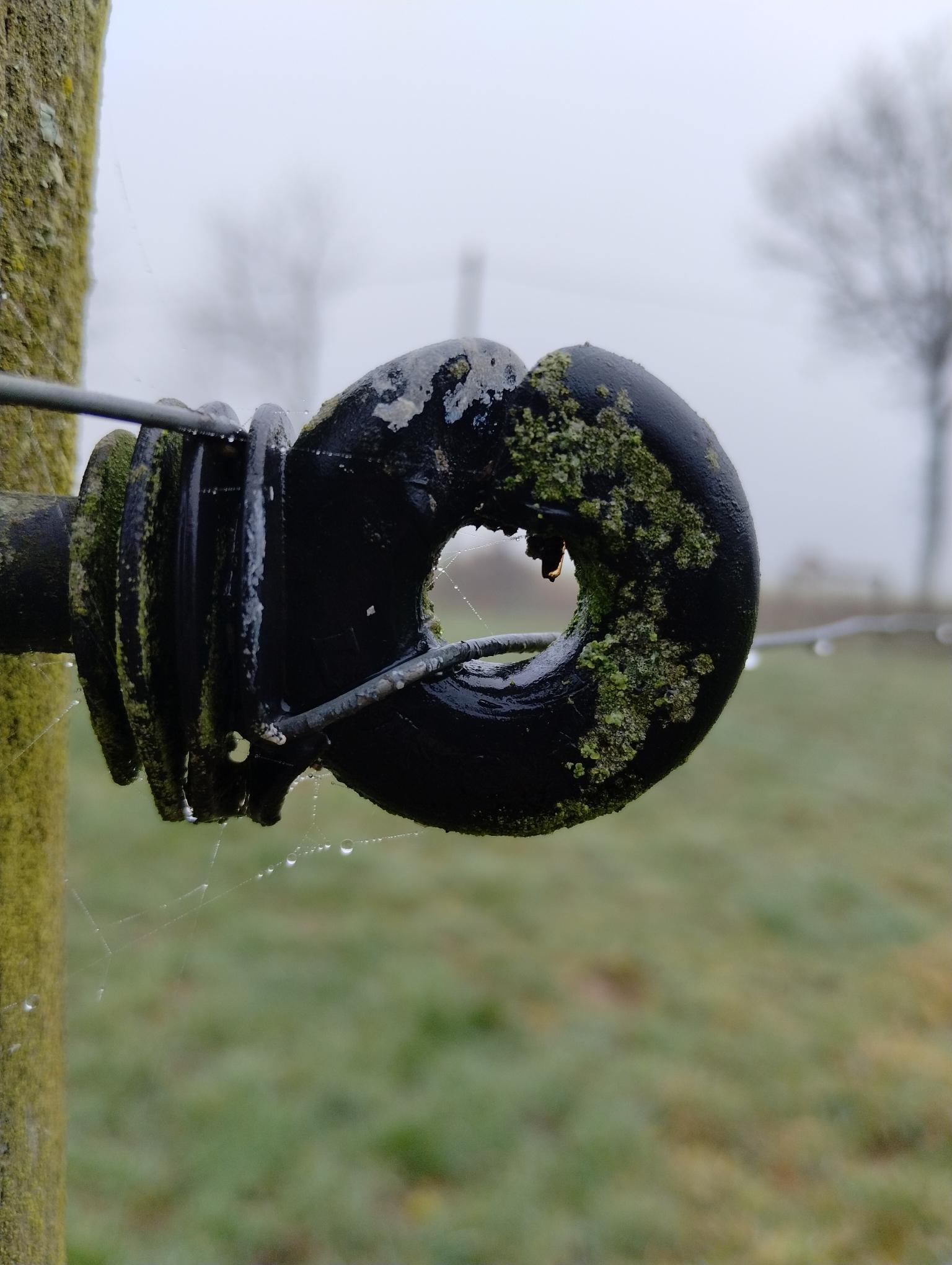 closeup of the eye of an old, lichen-covered annular insulator on an electric fence. raindrops decorate the wiring and spiderweb underneath.