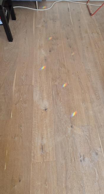 Foto eines Dielenbodens, auf dem Regenbogen zu sehen sind, die von einem Prisma im Fenster kommen und wie Tierspuren angeordnet sind.