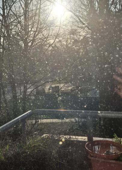 Blick aus dem Fenster. Ein Balkonkasten mit Vogelbad, im Hintergrund kahle Bäume und die tiefstehende Sonne. Die Scheibe des Fensters ist dicht an dicht mit Flecken übersät, die von Wassertropfen kommen.