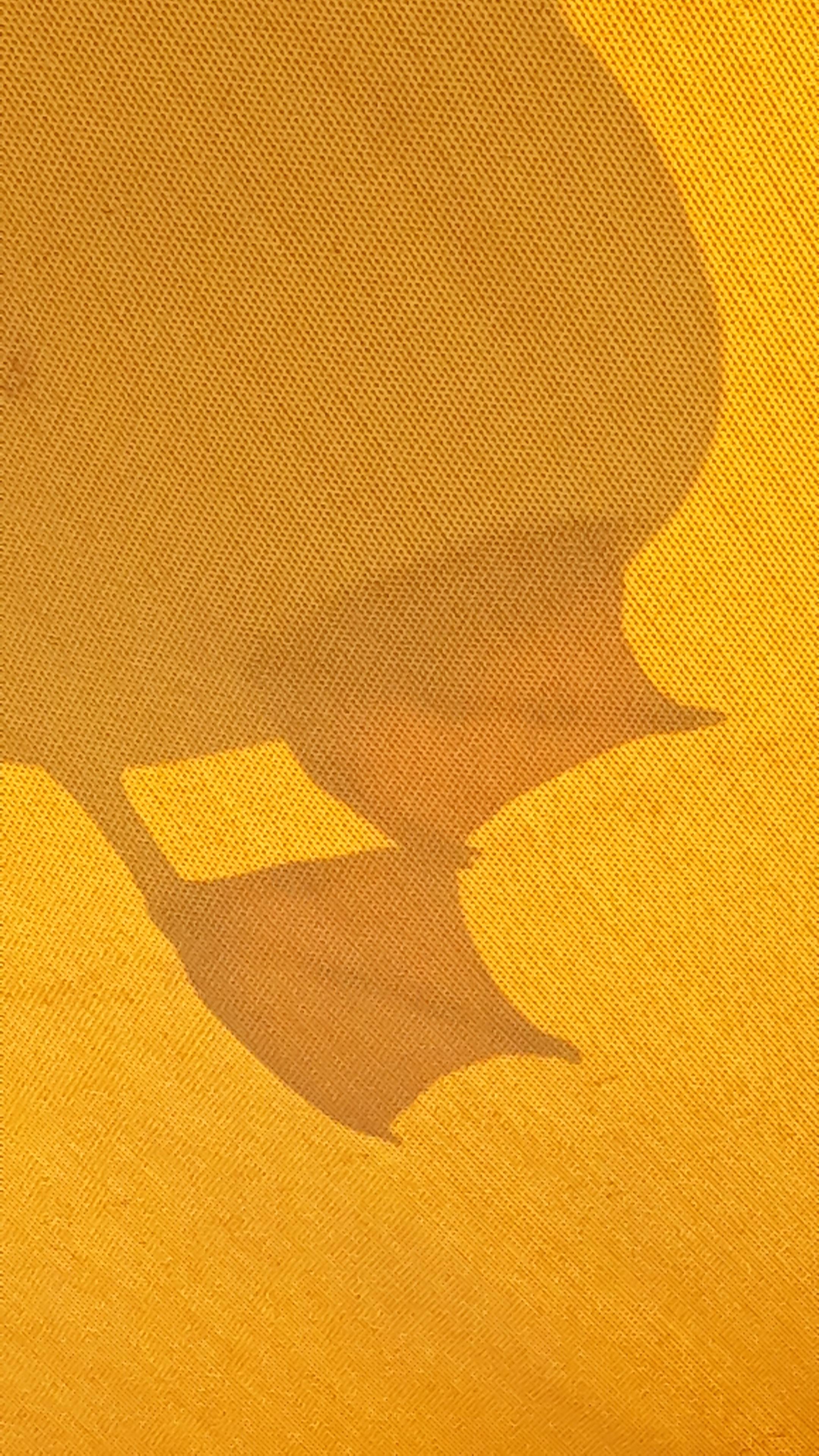Link Preview Image