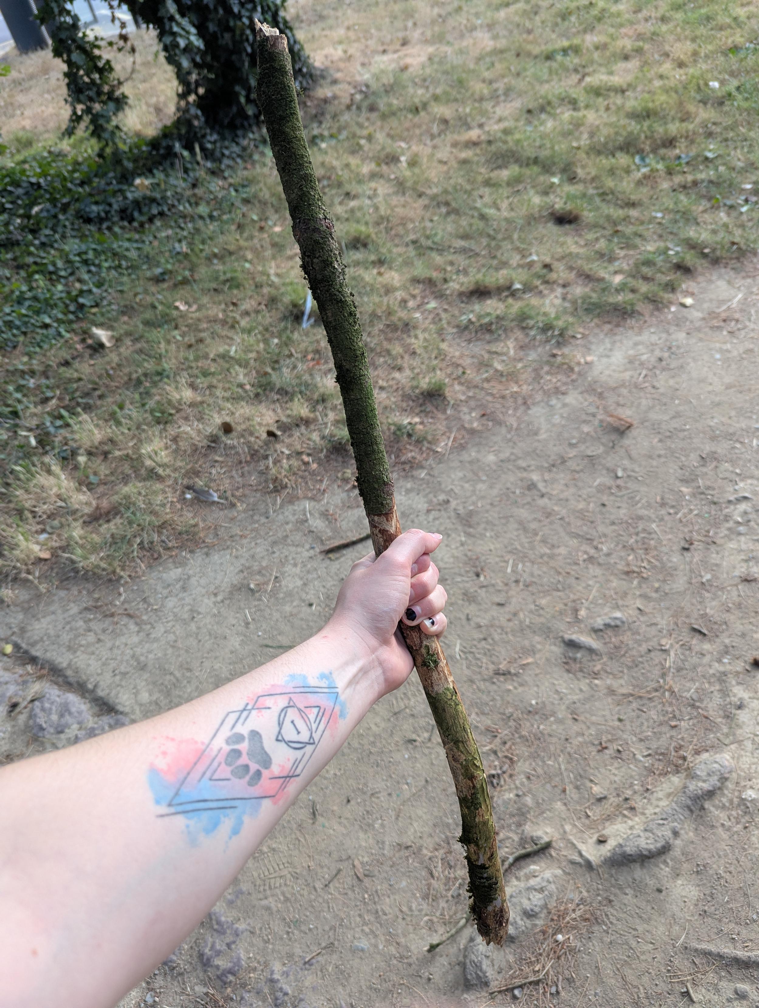 Photo de mon bras tenant un bout de bois