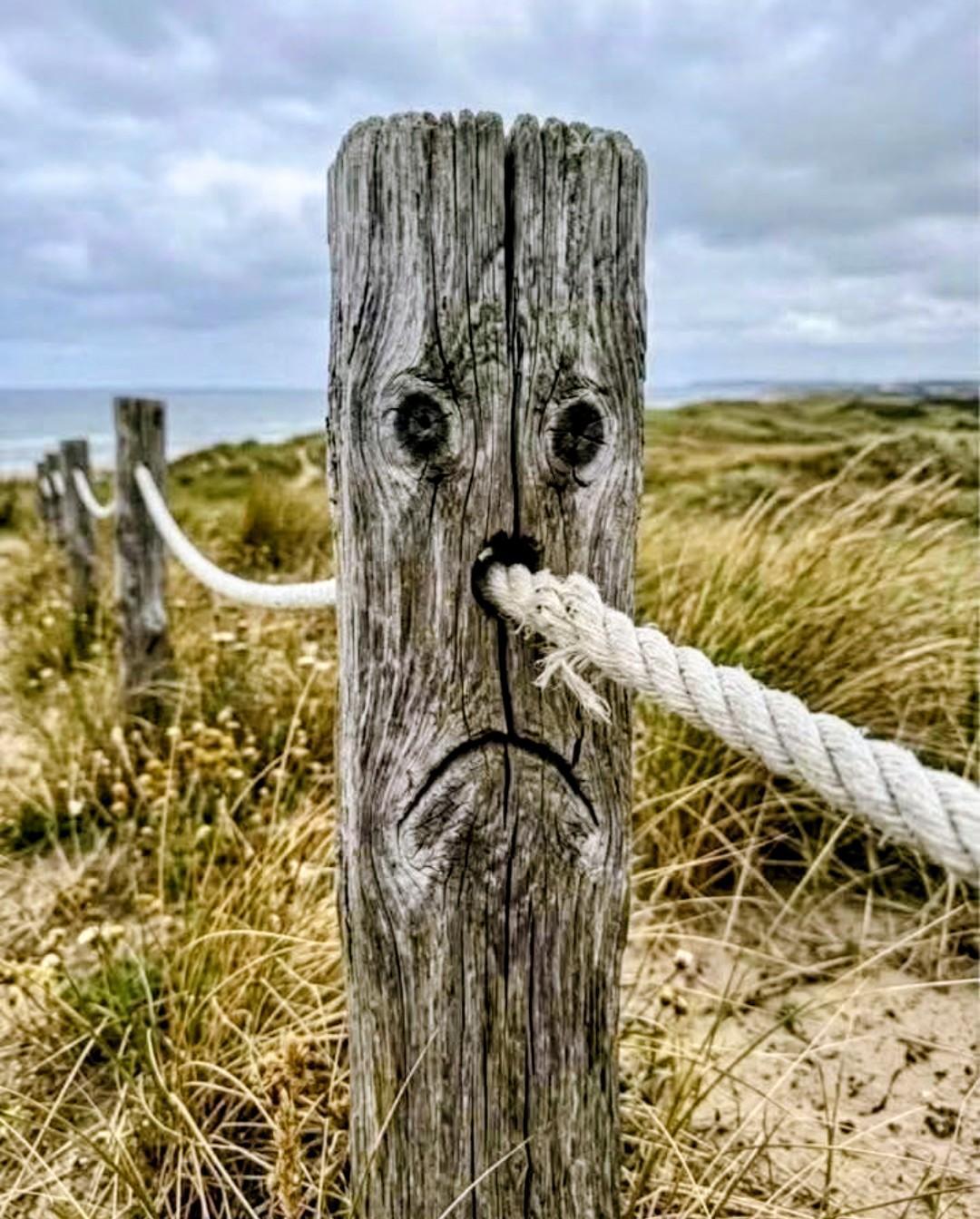 Photo d'un poteau servant à maintenir une main courante en corde, le long d'un sentier. Sur le poteau, une paréidolie donne un visage aux yeux ronds et à l'expression triste, renfrognée. La corde reliant les poteaux part de son nez. On voit l'océan au loin. Le sentier est parsemé d'herbes