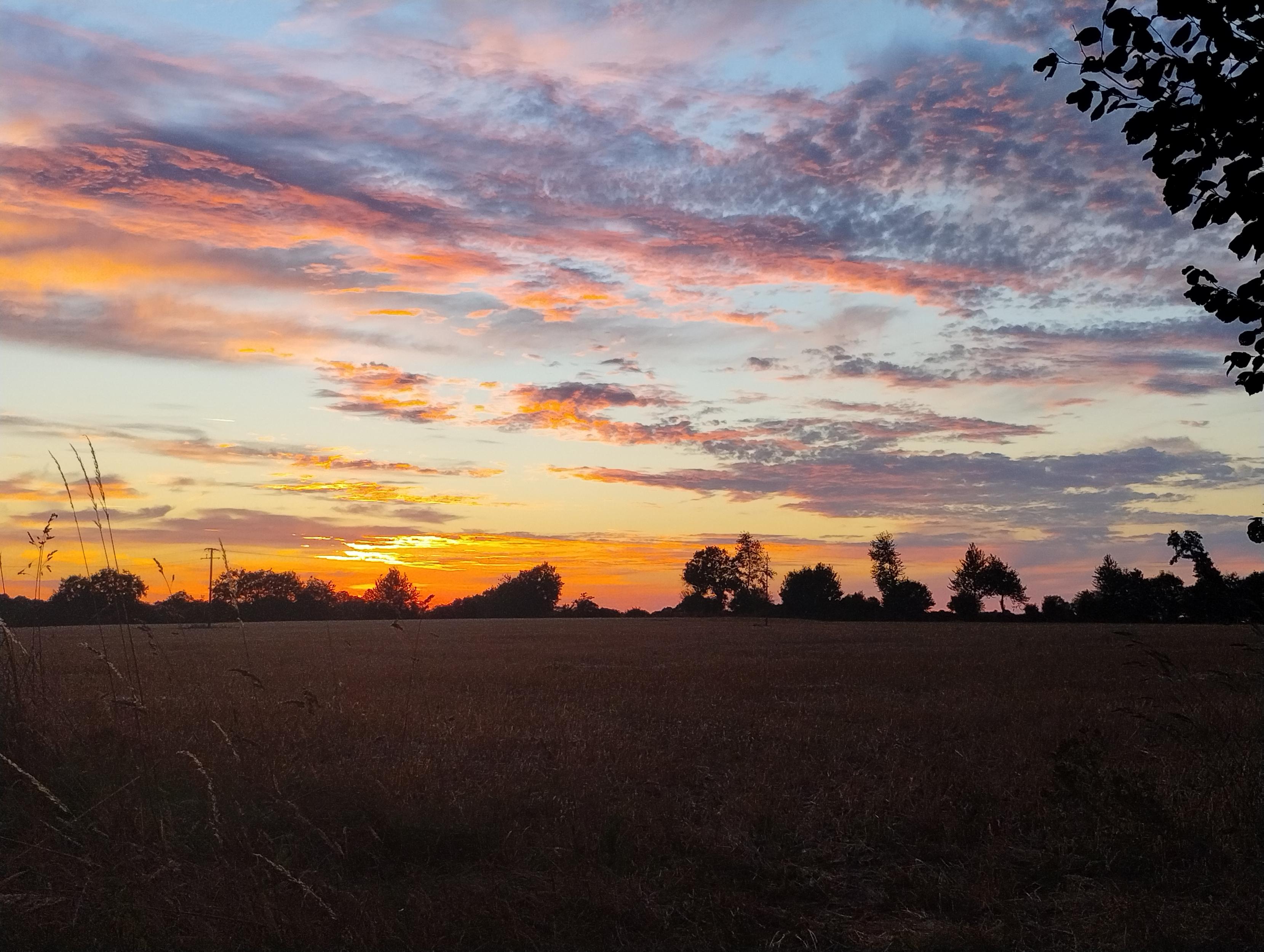 a cloudy sky, the color of lilacs and peaches and wildfires, over a rustic prairie. inky tree silhouettes populate the horizon line.
