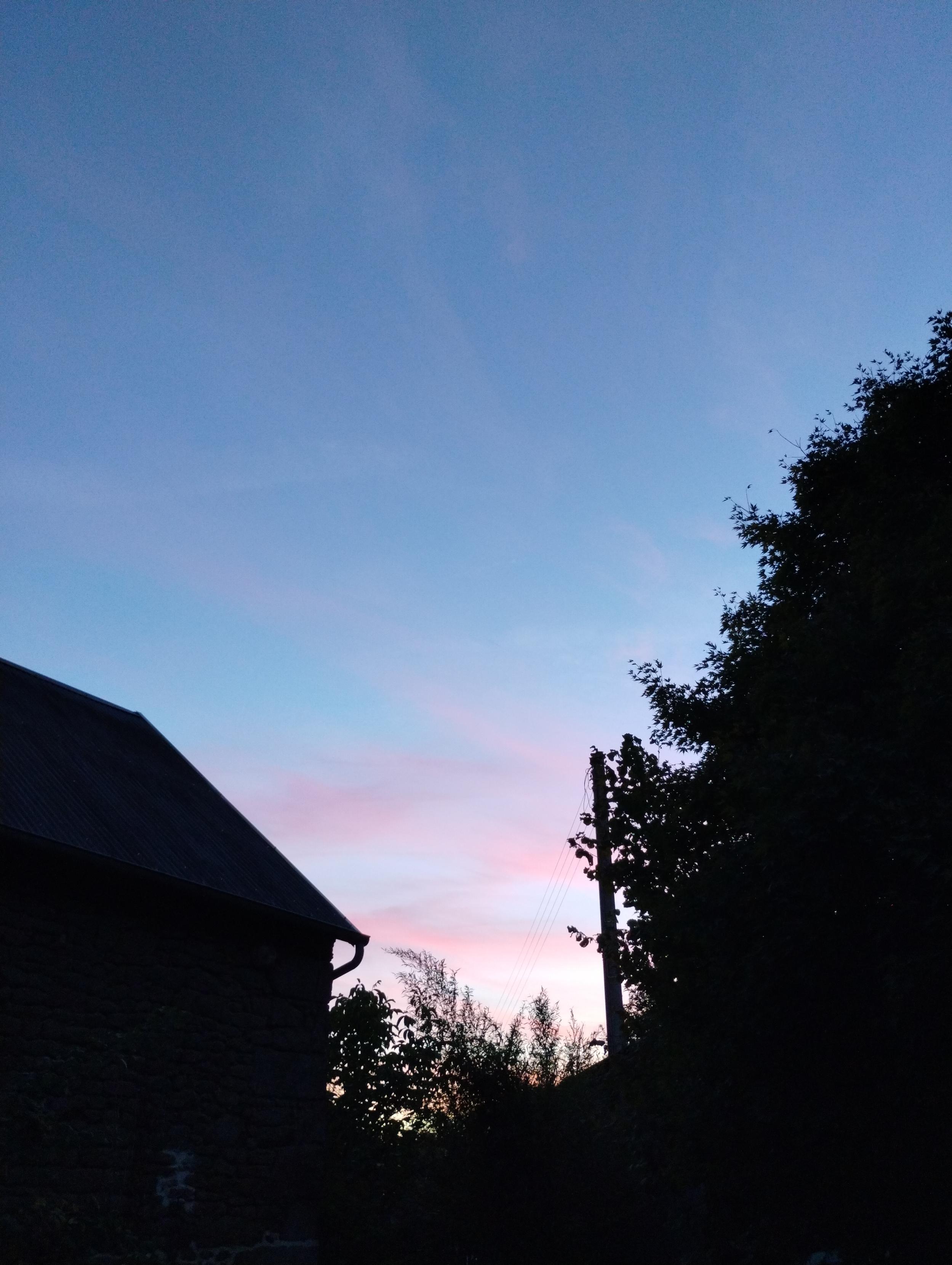 a blue sky in the midst of sunset, misty pink and orange clouds disappearing behind the silhouettes of trees, a utility pole, and a farmhouse.