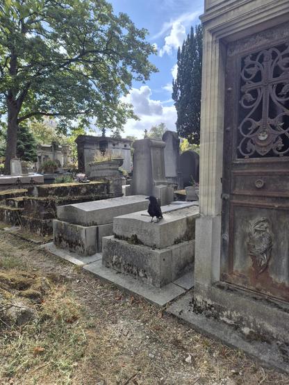 Eine der beiden Krähen sitzt auf einem horizontalen Grabmal. Im Hintergrund sind weitere Steingräber zu sehen. Rechts daneben ein Grabmal mit einer Art Häuschen drauf, die für den Friedhof hier typisch sind. Im Hintergrund ein Baum und blauer Himmel.