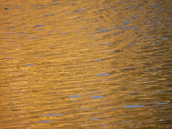 Eine golden schimmernde Fläche mit einzelnen himmelblauen Lichtreflexen und dunkleren Schatten. Erst auf den zweiten Blick ist erkennbar, dass es sich um einen See im Herbstlicht handelt, auf dem der Wind kleine Wellen verursacht.